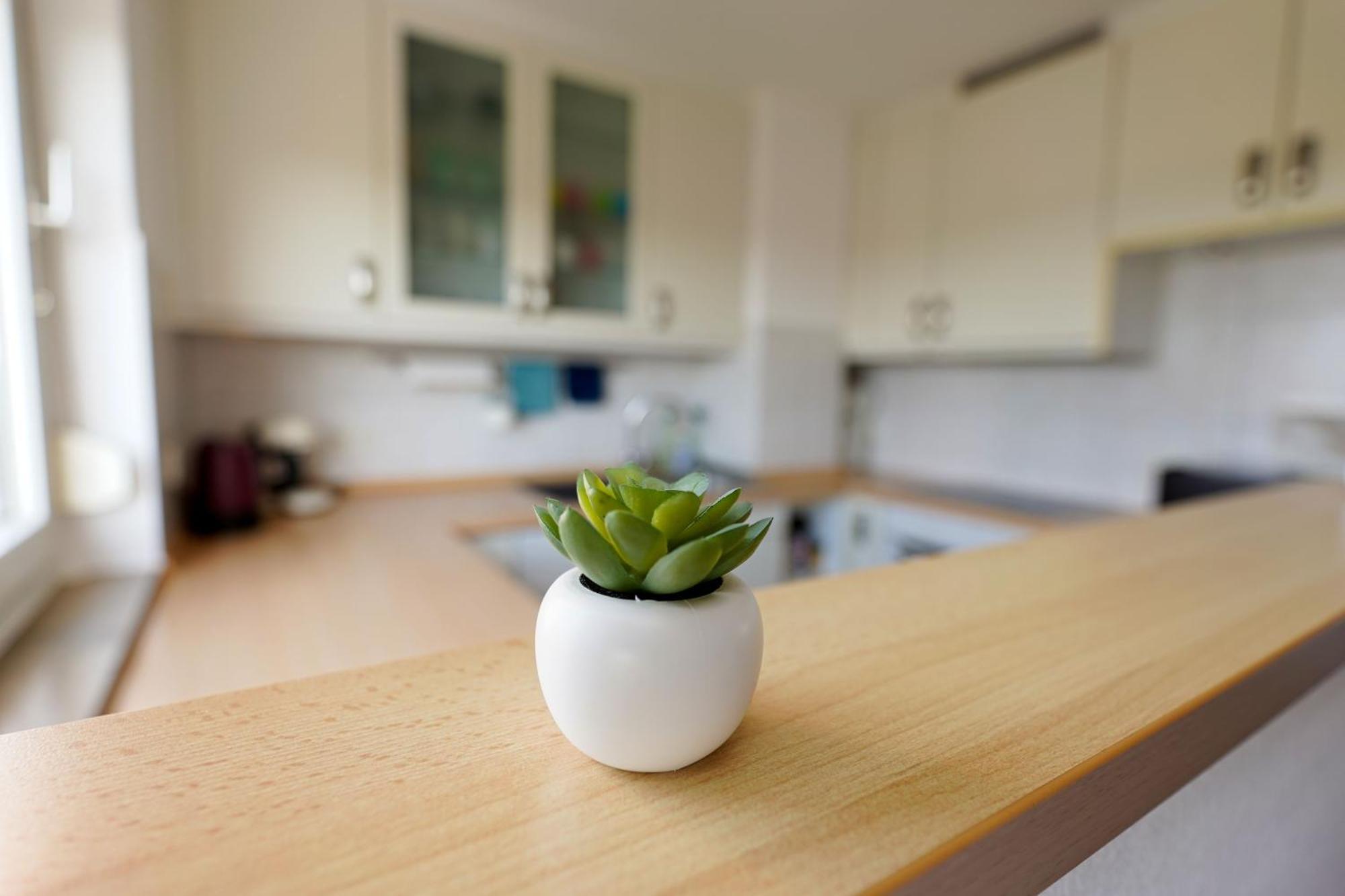 Tolle Wohnung Mit Panoramablick Weinheim Eksteriør billede